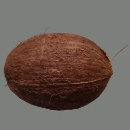 TF2's coconut.jpg texture -- a coconut image file from Team Fortress 2.